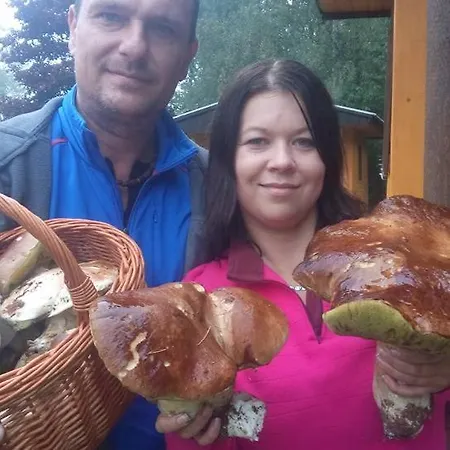 Chatová Osada Budín Žirovnice