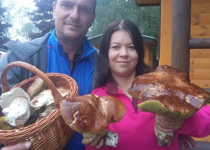 Chatova Osada Budin Žirovnice
